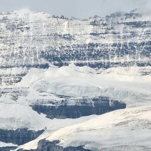 Meet your Posher, JQ